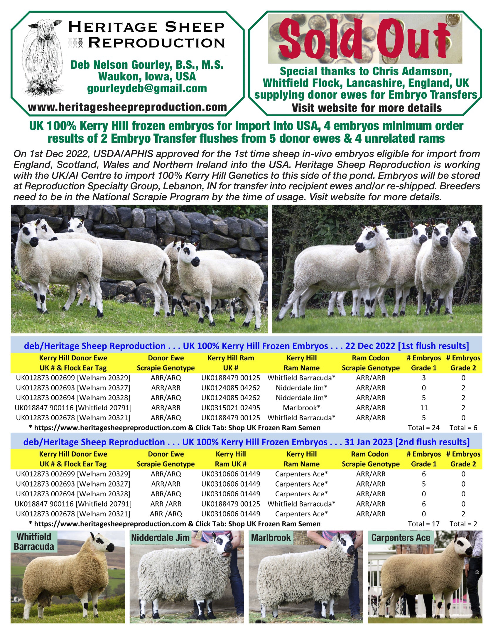 Kerry Hill 100% UK Embryos from 5 Donor Ewes & 4 Rams - Tank #6 - Embryos Imported into USA - Sold Out