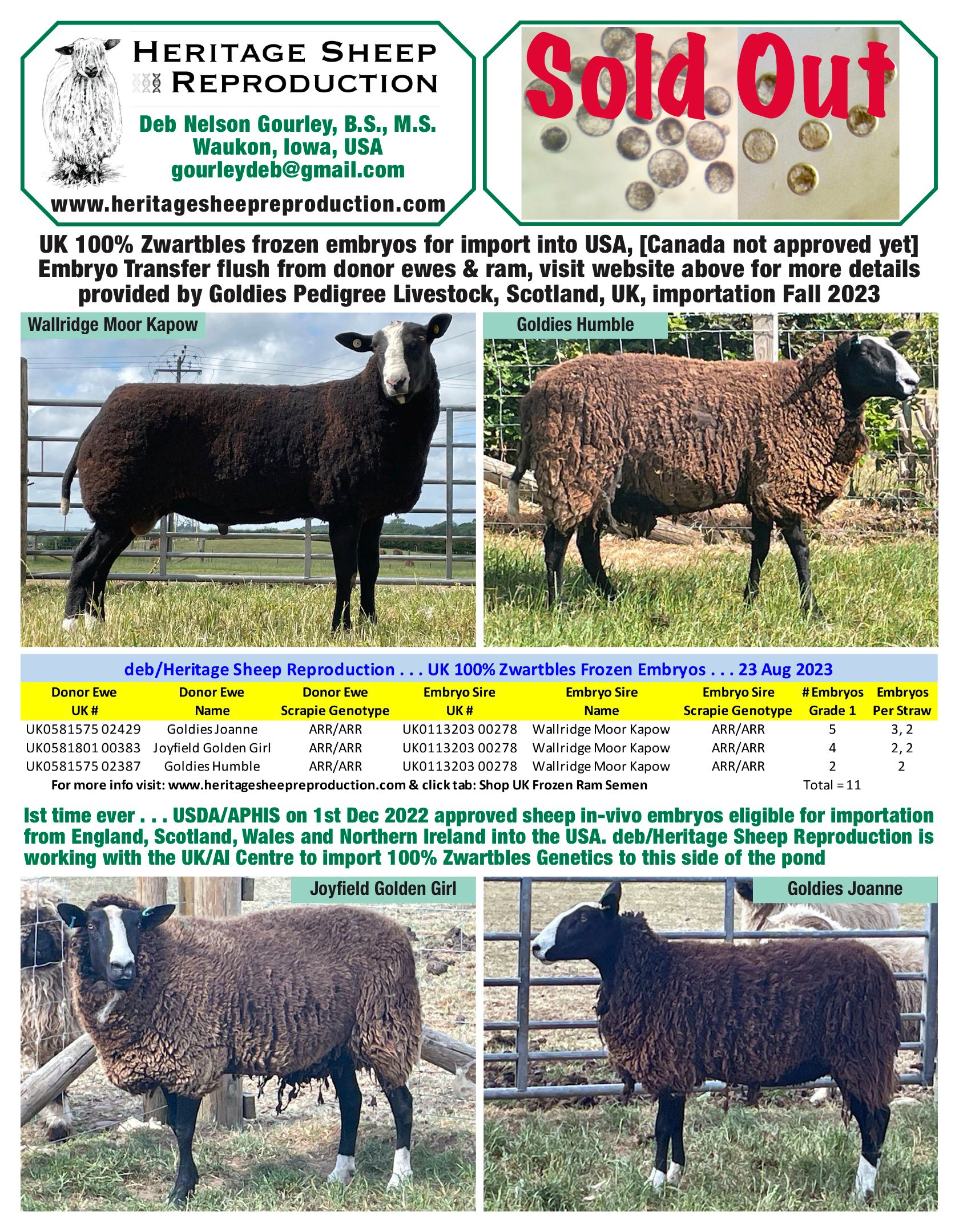 Zwartbles 100% UK Embryos from Donor Ewes & Rams - Tank #6 - Embryos Imported into USA - Sold Out